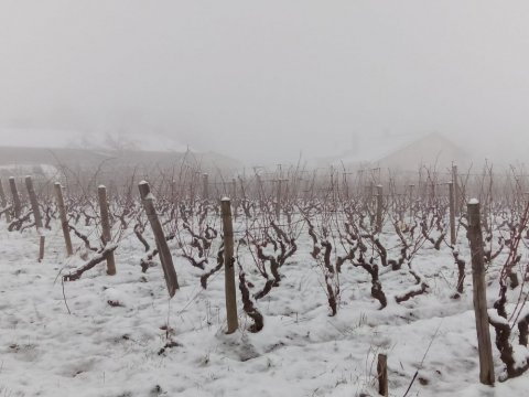 beaujolais hiver