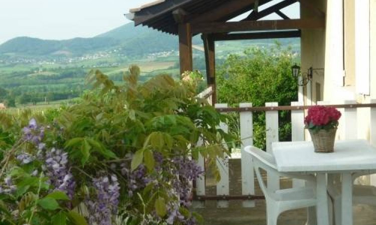 Rural lodging in the heart of the vineyards in Sarcey