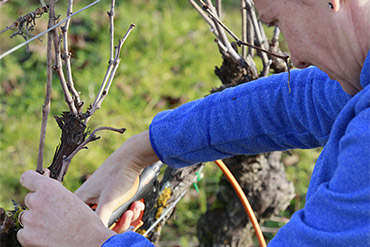 Famille de vignerons domaine viticole à Sarcey